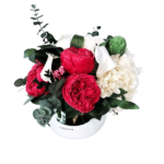 Loulou Peonies
