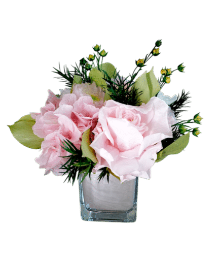 Katie - Delicate Pink