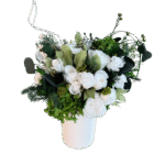 Soul White