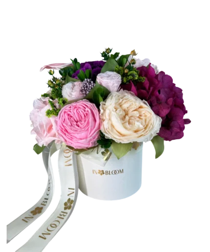 Elis - Blush Harmony preserved flowers gift box in Dubai