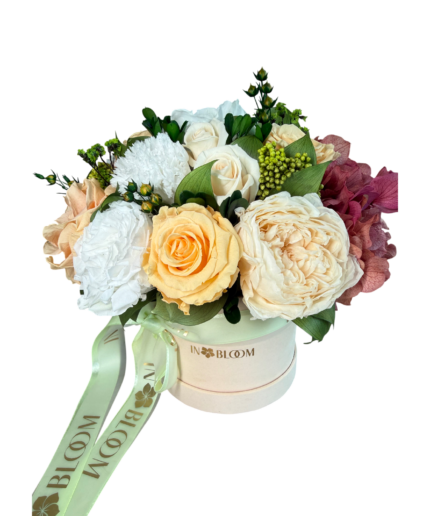 Elis - Champagne Whisper