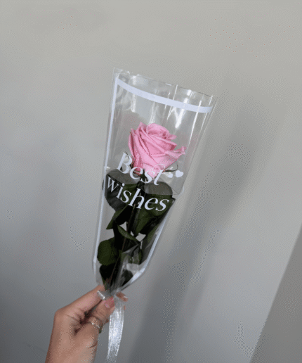 Pink preserved rose Timeless Classics Single Rose S refined floral accent