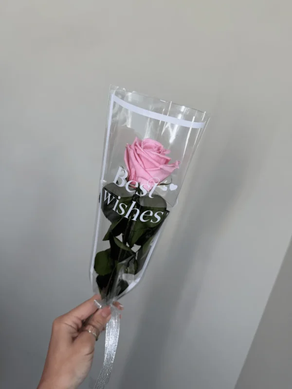 Pink preserved rose Timeless Classics Single Rose S refined floral accent