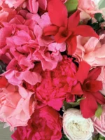 Audrey Hot Pink and White preserved flowers gift box detail view in Dubai