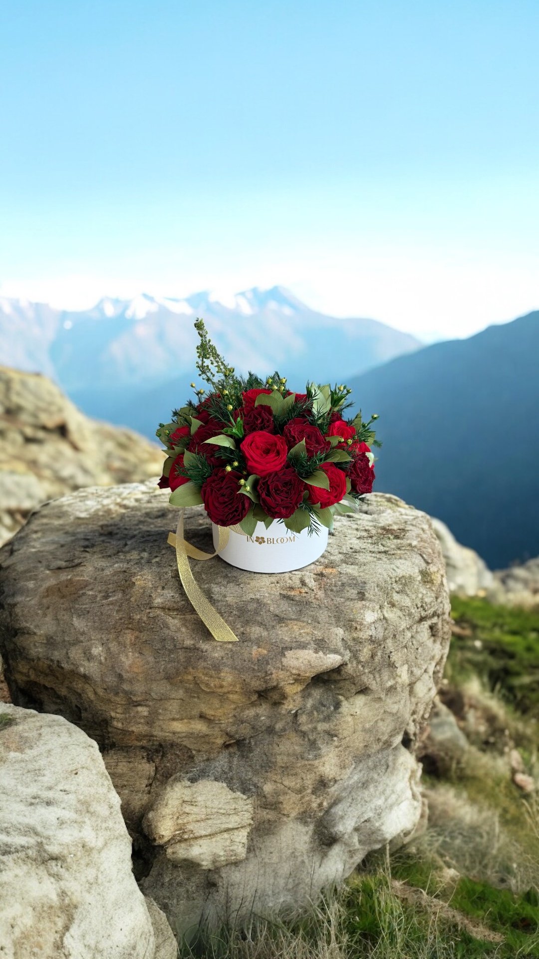 Flower Boxes