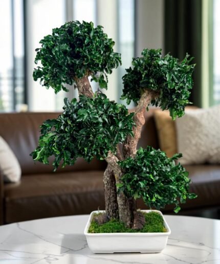 Tobira Bonsai preserved flower arrangement in Dubai detail