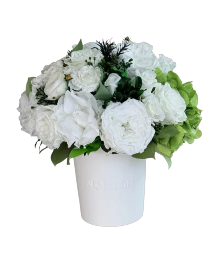Luna - blanc 8 preserved flower arrangement in Dubai