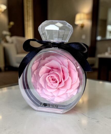 Light Pink preserved rose