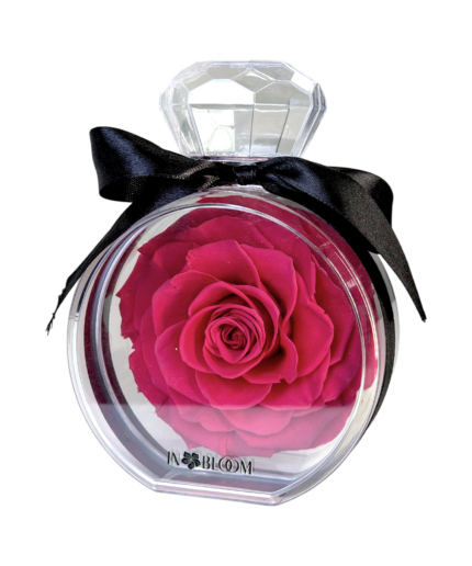 pink preserved rose