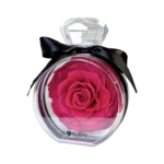 pink preserved rose