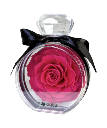 pink preserved rose