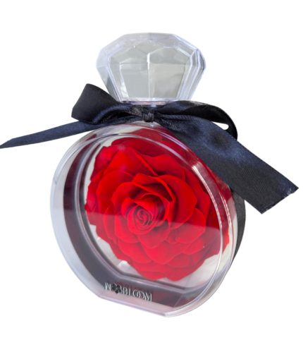 red rose preserved