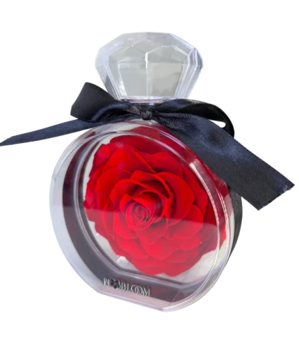 red rose preserved