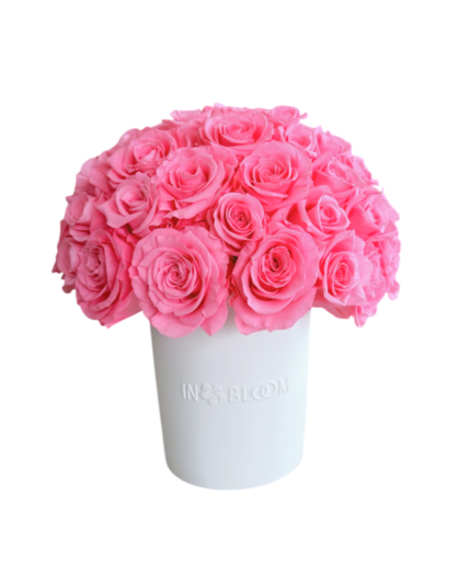 Luna pink roses preserved vase bouquet