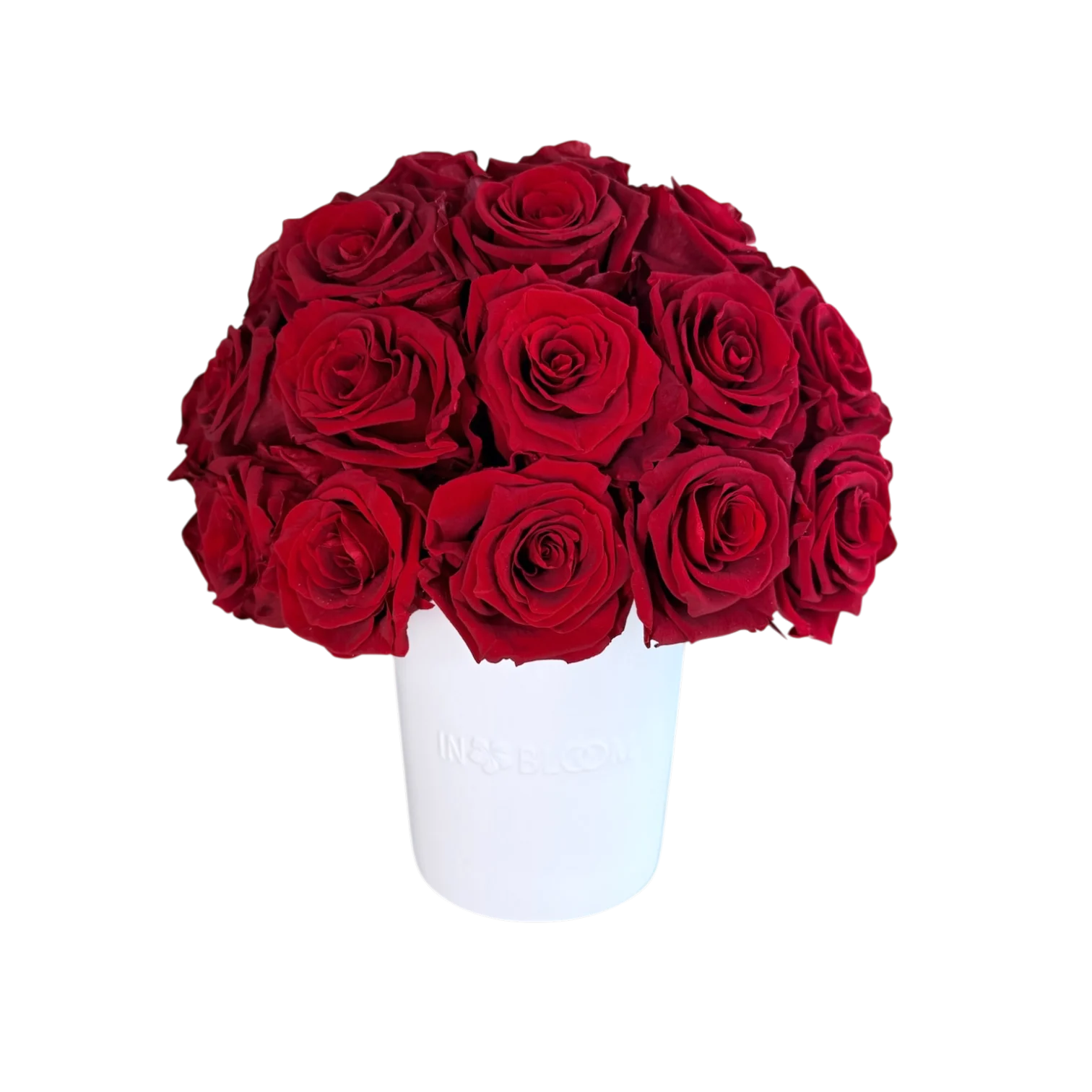transparent-Photoroom-46 Luna - Red roses preserved flower arrangement in Dubai