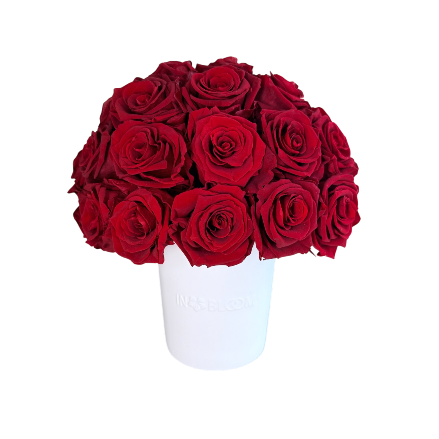 transparent-Photoroom-46 Luna - Red roses - Image 1