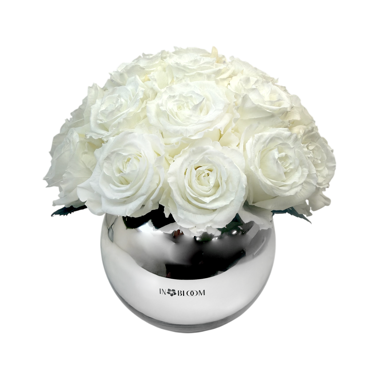 transparent-Photoroom-49 classic white ivory roses forever roses flowers infinity preserved bouquet