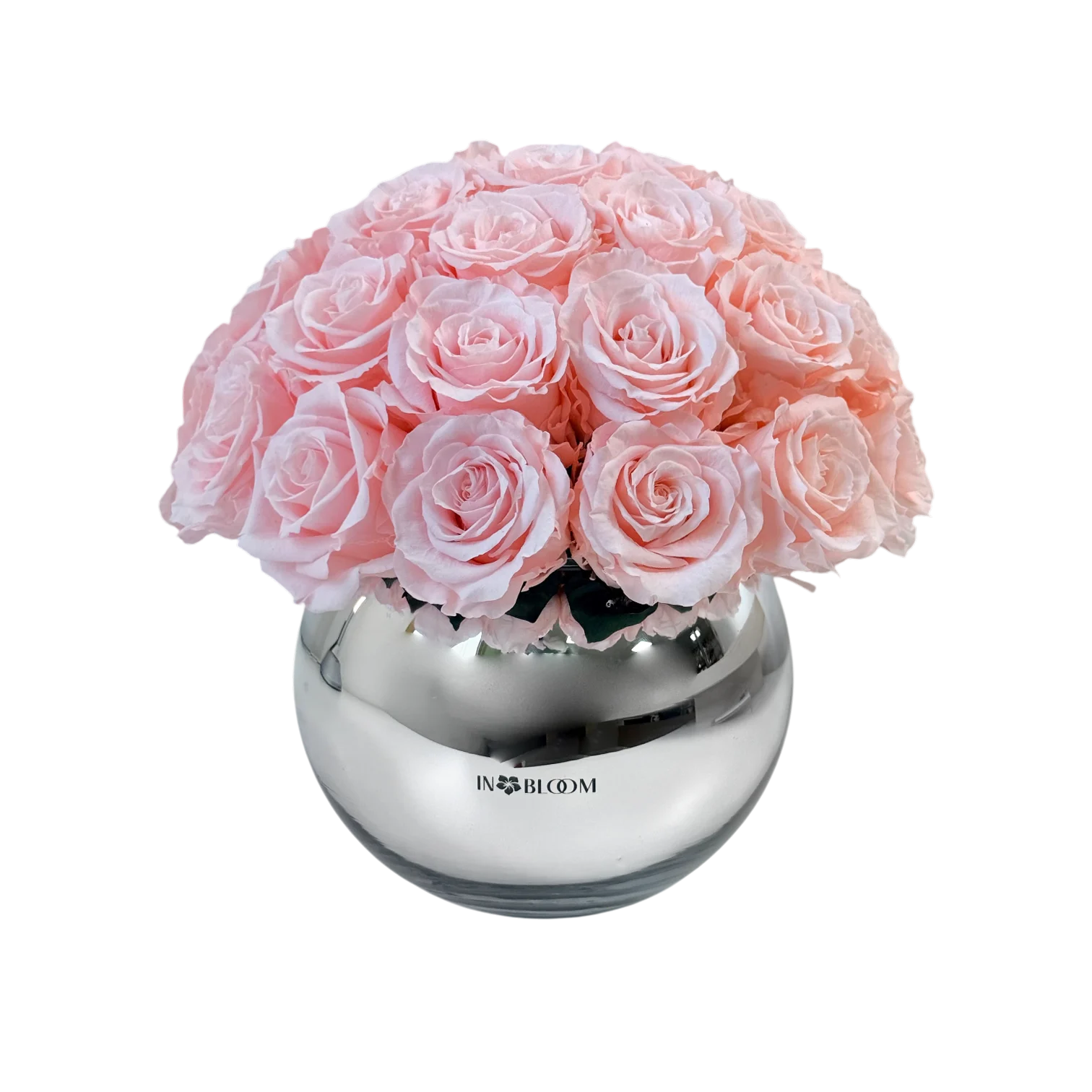 transparent-Photoroom-50 preserved forever rose infinity roses classic light pink rosewood