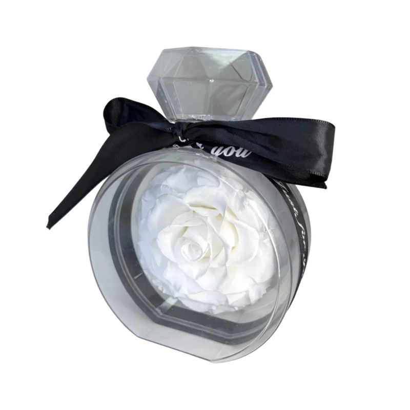 French Rose - Perfume bottle (White) preserved flower arrangement in Dubai